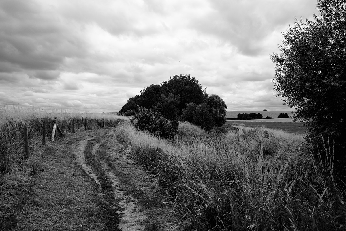 Toward Silbury Hill 3 image